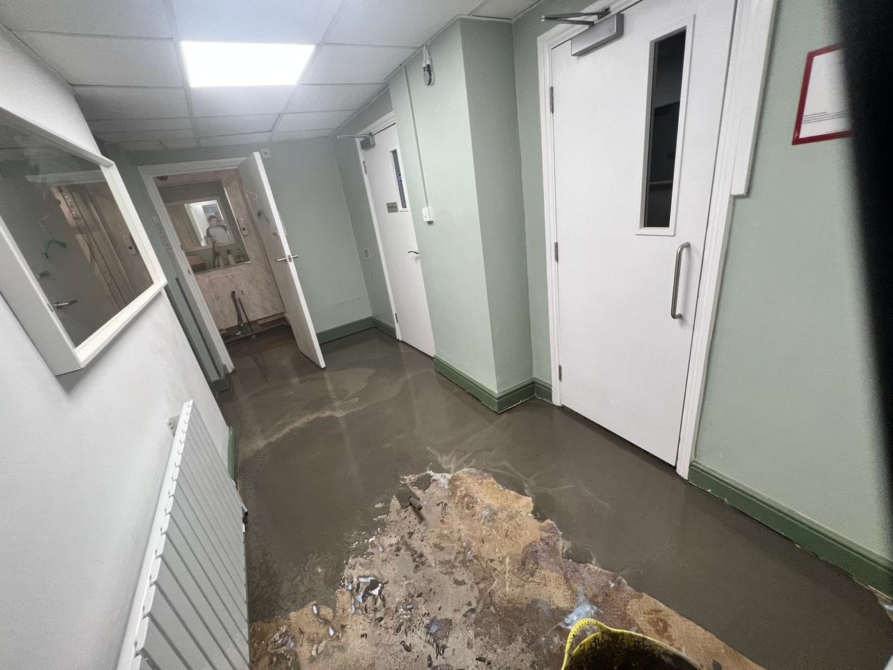 Flooring gallery image 11